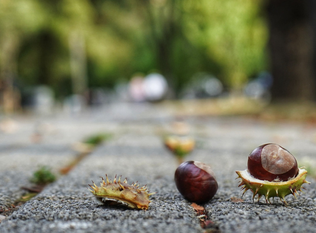 Danas promenljivo oblačno i svežije, mestimično sa kišom, do 22 stepena