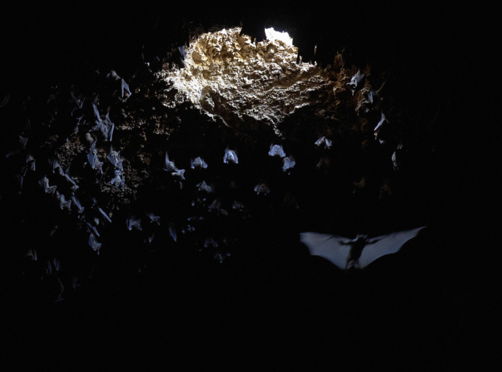 Ostaci stari 12.000 godina možda su jedna od najranijijih poznatih žrtava ubistva