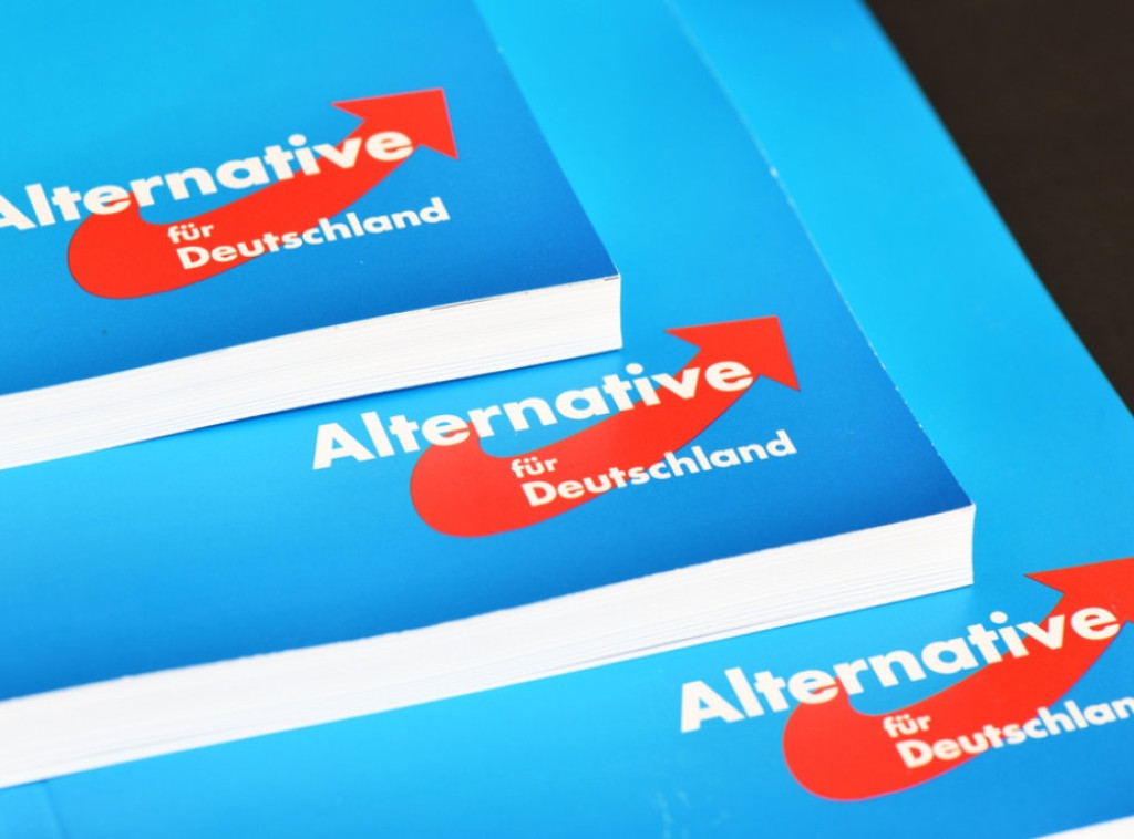 Ferdinand Fon Širah: Zabrana AfD-a bi bila duboko nedemokratska