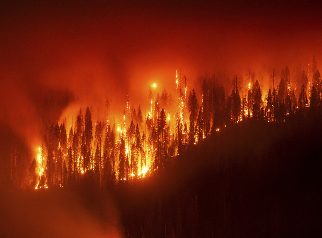 Požar na istoku Grčke, gori poljoprivredno zemljište i maslinjaci