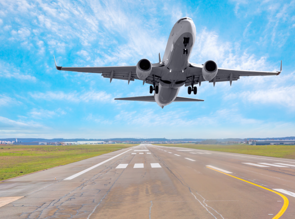 Novi Zeland: Avion prinuđen da se vrati na aerodrom nakon sudara sa pticama