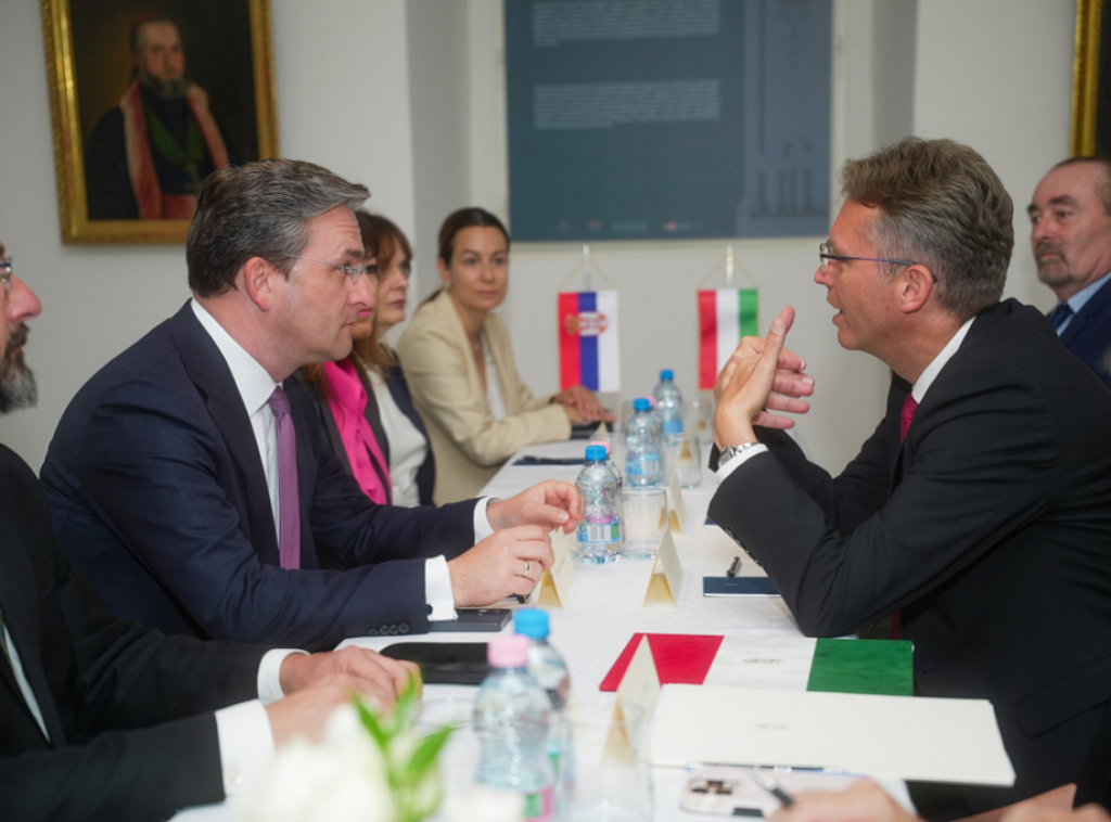 Selaković na sastanku sa ministrom kulture i inovacija Mađarske