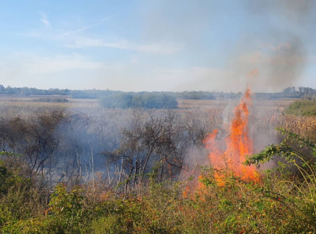 Požar između Male Krsne i Požarevca, železnički saobraćaj bio u prekidu četiri sata