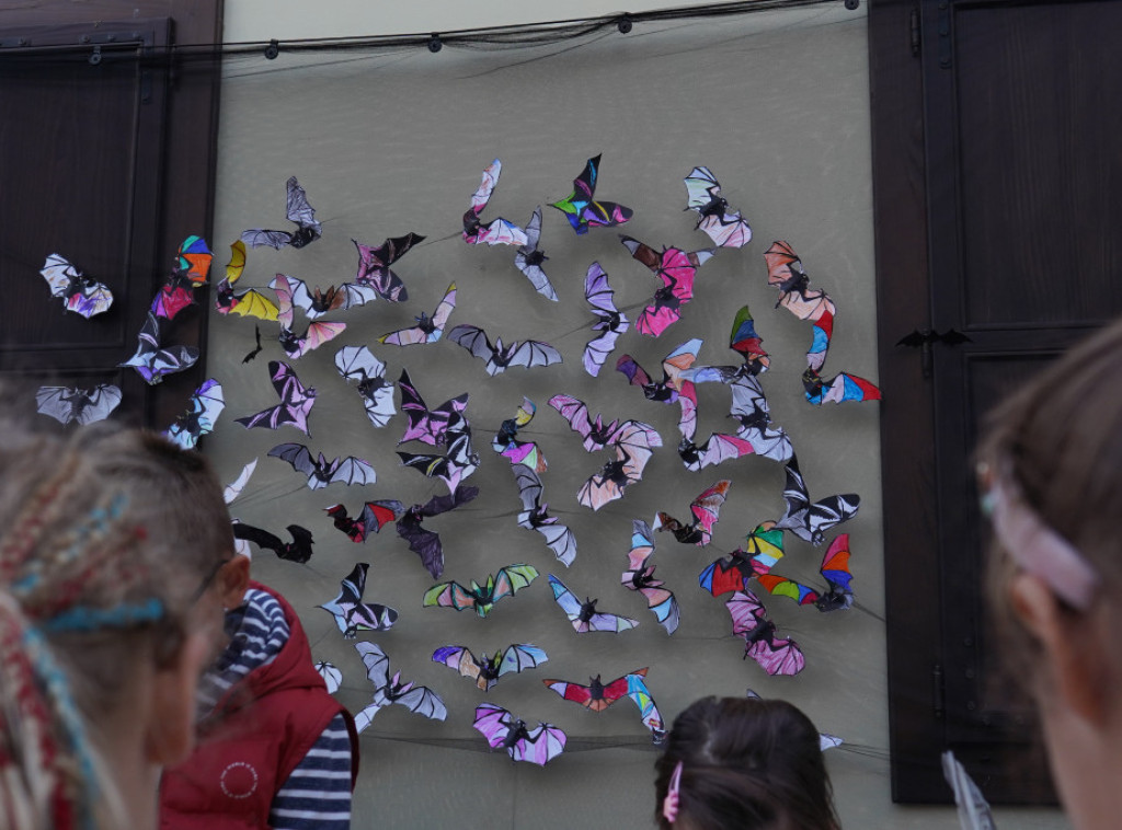 Međunarodna noć slepih miševa održana u Prirodnjačkom muzeju u Beogradu