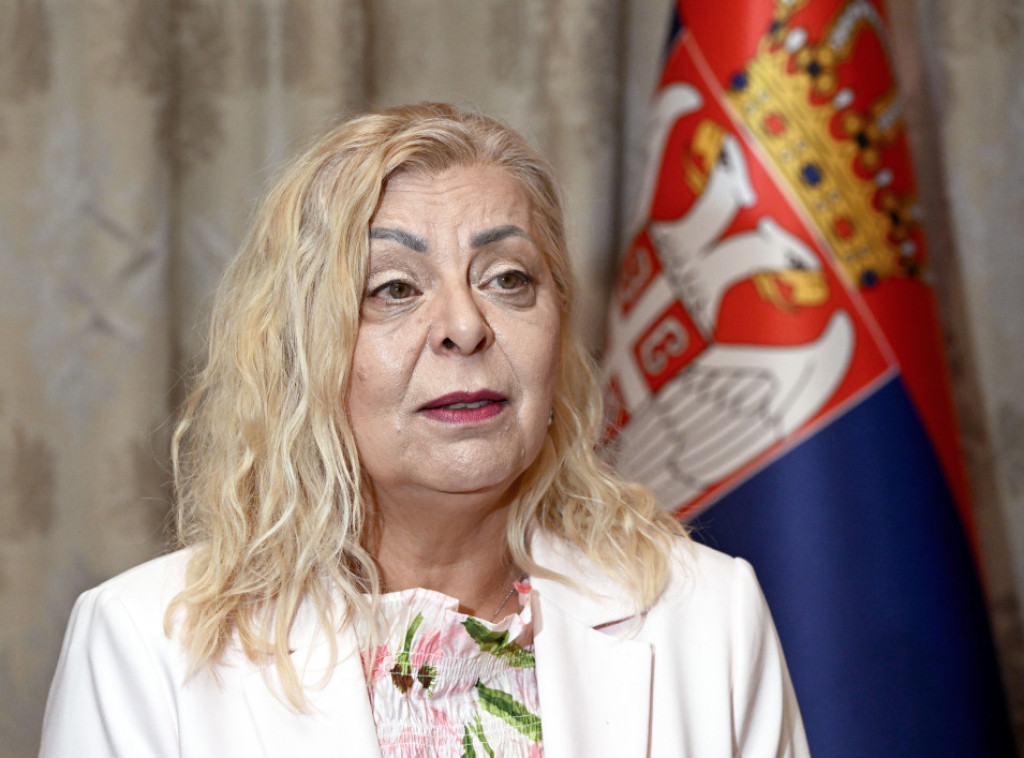 Aleksandra Sofronijević: Sutra počinje prijava nelegalnih objekata, digitalna platforma biće otvorena od 4.00 časa