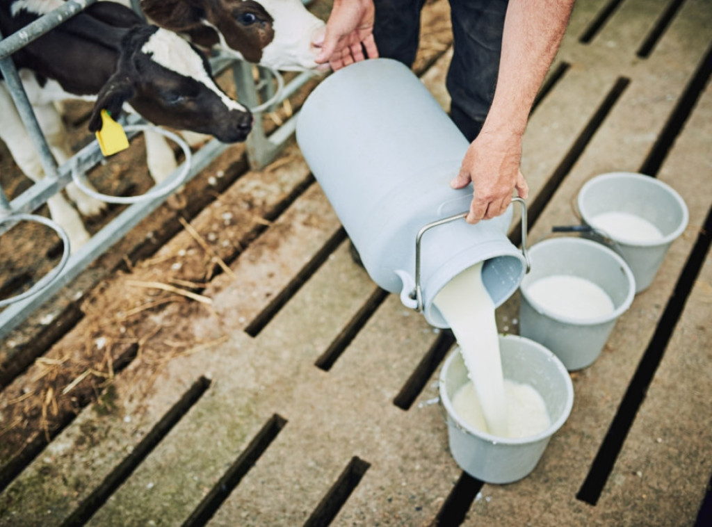 Cene poljoprivrednih proizvoda u Evropskoj uniji porasle za tri odsto u 2025.