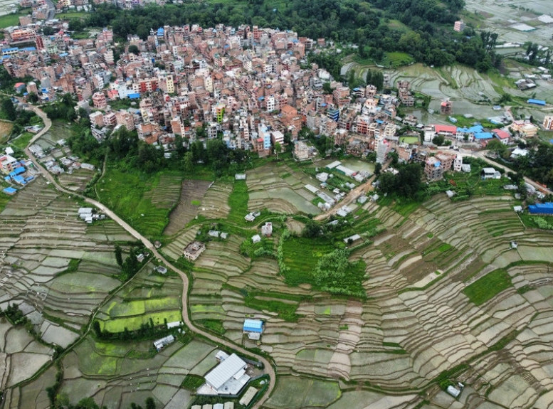Evropa dnevno gubi zelene i obradive površine veličine 600 fudbalskih terena