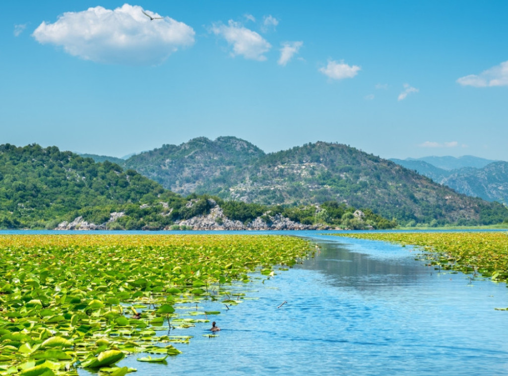 Crna Gora: Sliv Skadarskog jezera zvanično kandidovan za svetsku listu rezervata biosfere