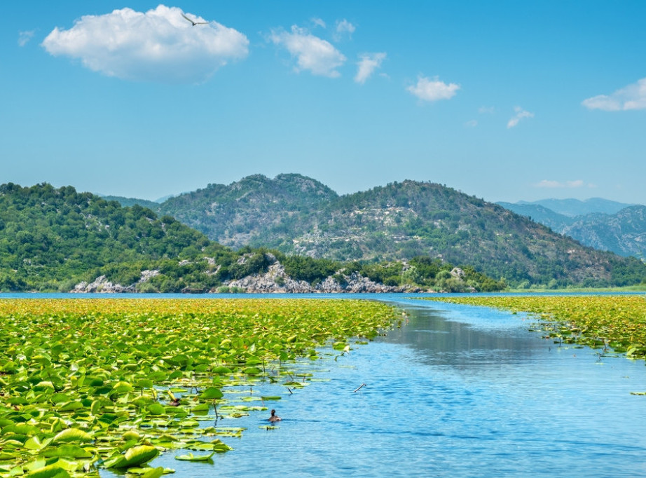 Crna Gora: Sliv Skadarskog jezera zvanično kandidovan za svetsku listu rezervata biosfere