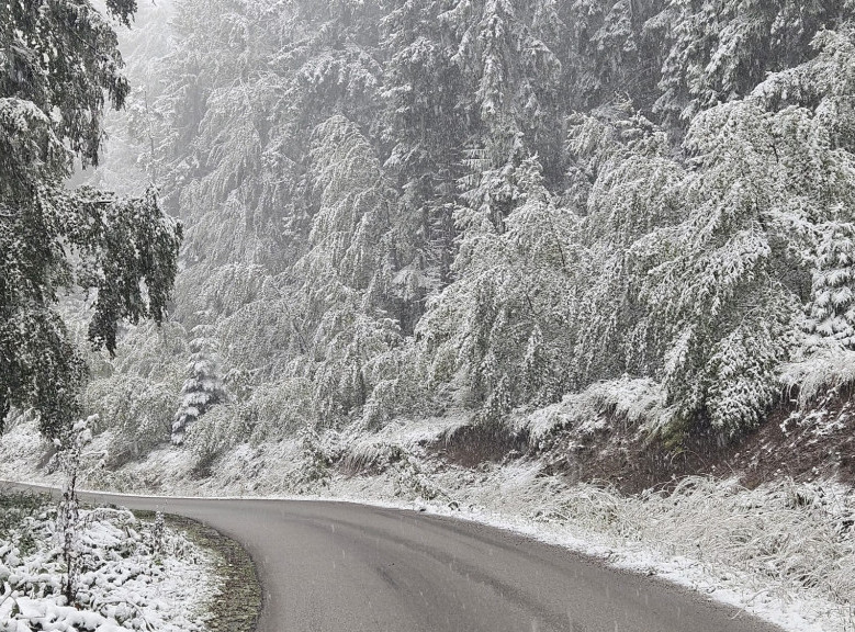 Snega mestimično do pet centimetara ima samo na putevima trećeg prioriteta na teritoriji Vranja i Zaječara