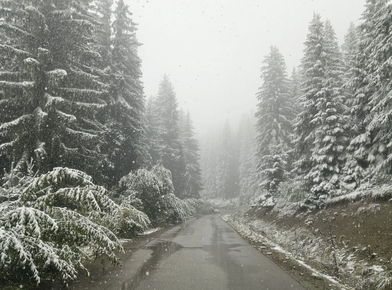 Južni Tirol: Pronađena tela još dvoje planinara nestalih u lavini