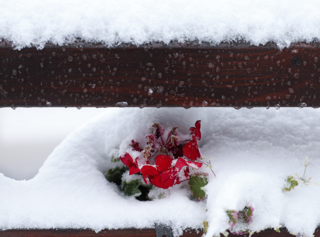 BiH: Zbog snežnih padavina zaustavljen saobraćaj na putu Foča-Trnovo