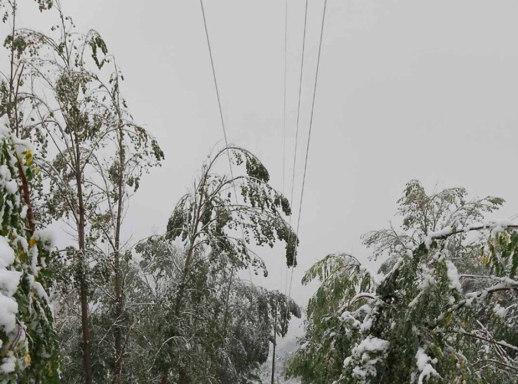 Elektrodistribucija Srbije: Zbog nevremena i vlažnog snega veći broj kvarova u brdsko-planinskim predelima