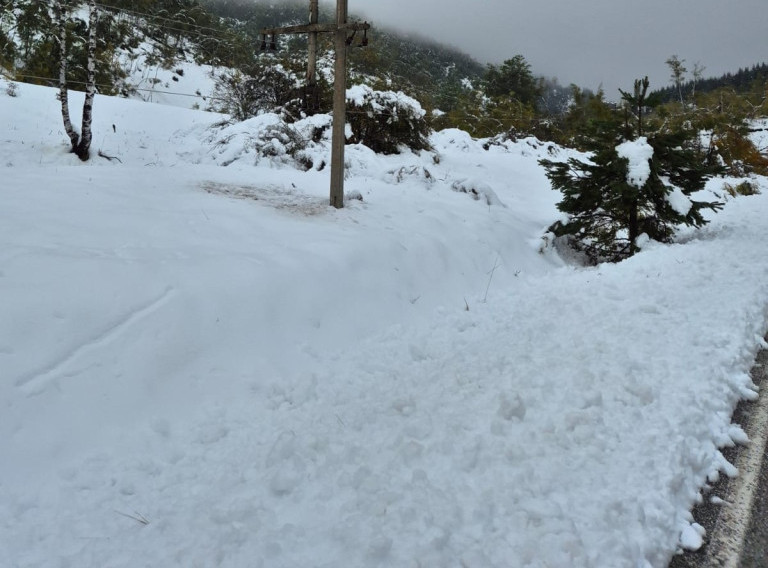 Novica Tončev: Crna Trava sutra dobija mehanizaciju za raščišćavanje puteva