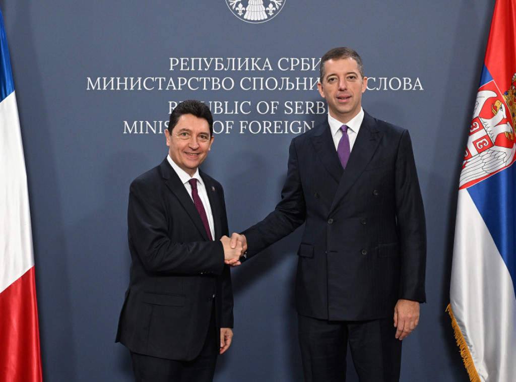 Djuric, French senator discuss economic cooperation, bilateral relations