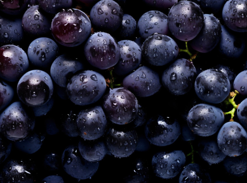 Hrvatska: Inspekcija upozorila na grožde iz Italije sa velikim količinama štetne hemikalije