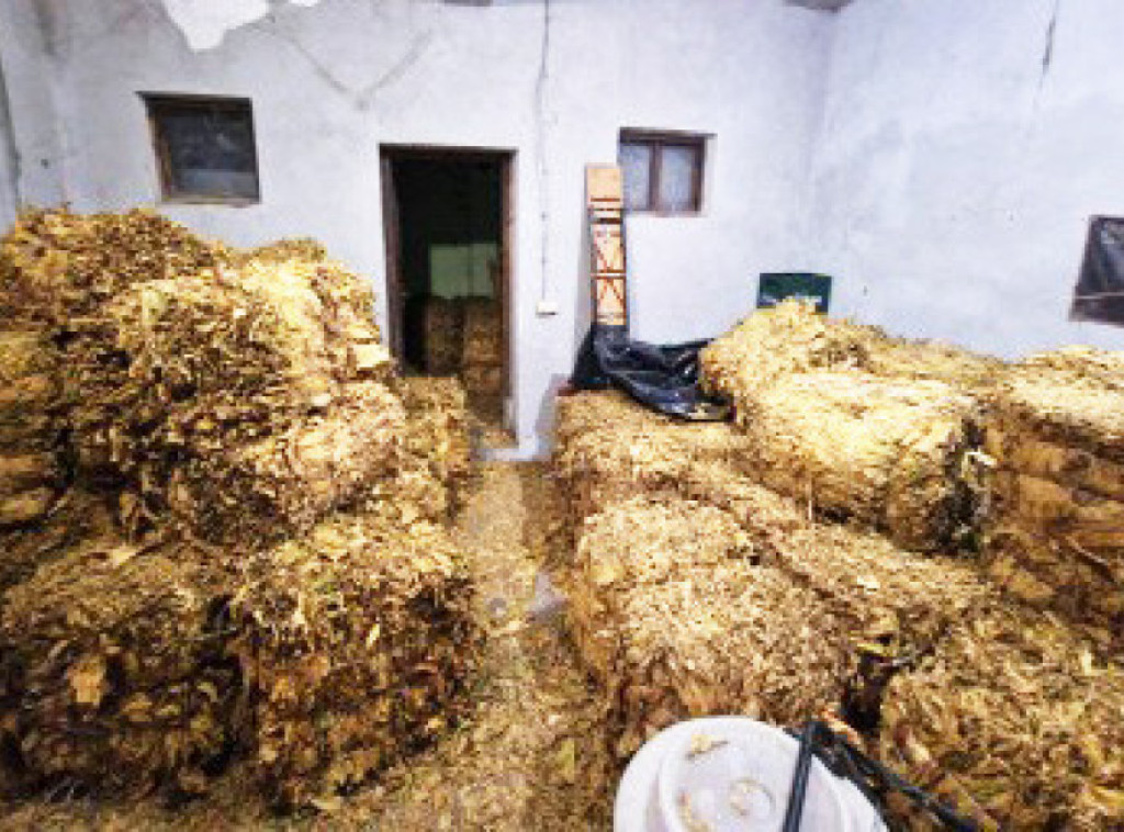 Uhapšeni osumnjičeni za nedozvoljen promet duvana, oštetili budžet Srbije za 43 miliona dinara