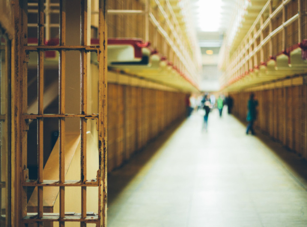 Vojo Laković: Bekstvo Miloša Medenice i Lidije Mitrović moglo je biti sprečeo