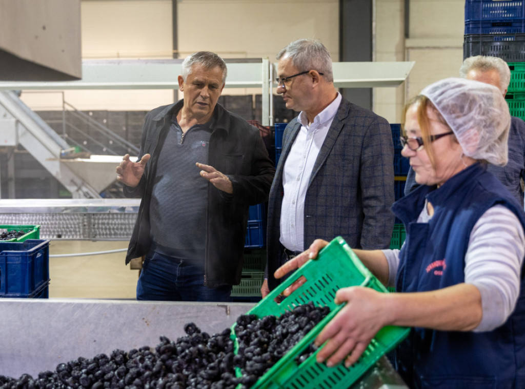 Ministar Glamočić posetio Osečinu: Šljiva je simbol Srbije, a Osečina njeno srce