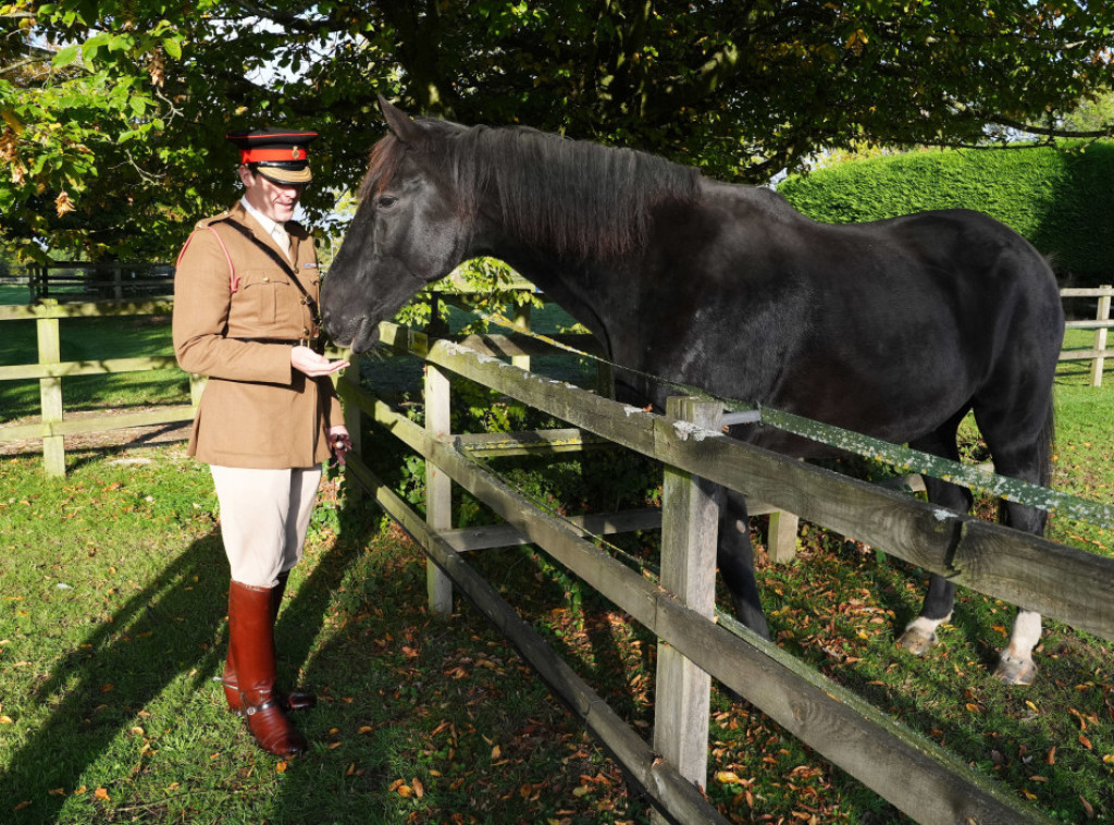 Penzionisan vojni konj koji je projurio kroz London nakon što se uplašio