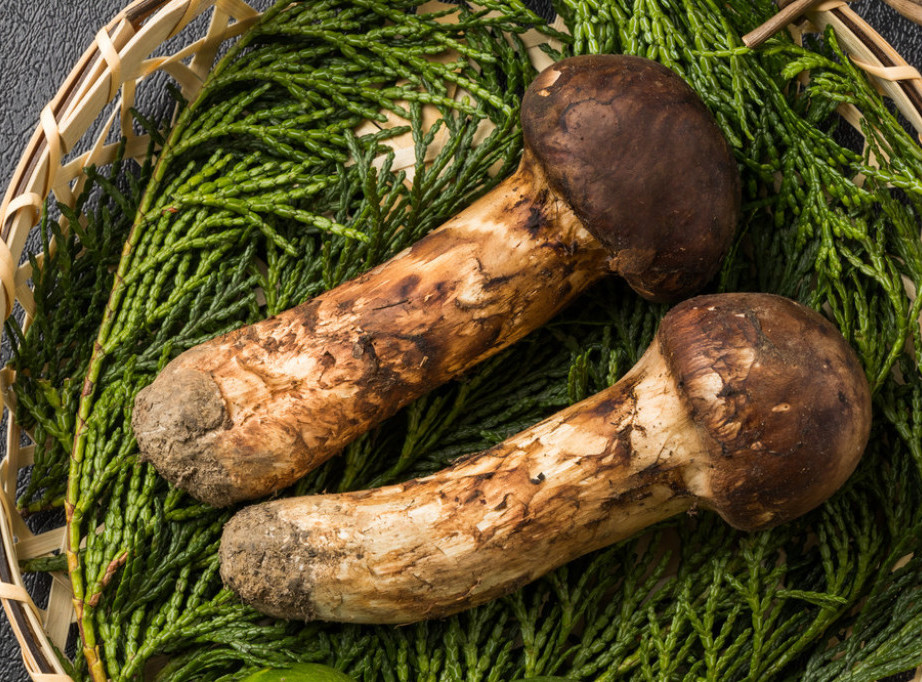 Na pijaci u zapadnom Japanu osam pečuraka macutake prodato za skoro 5.000 evra