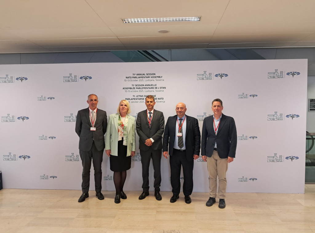Delegacija Skupštine Srbije u PS NATO sa kolegama iz Grčke i Portugalije o stanju u AP Kosovo i Metohija