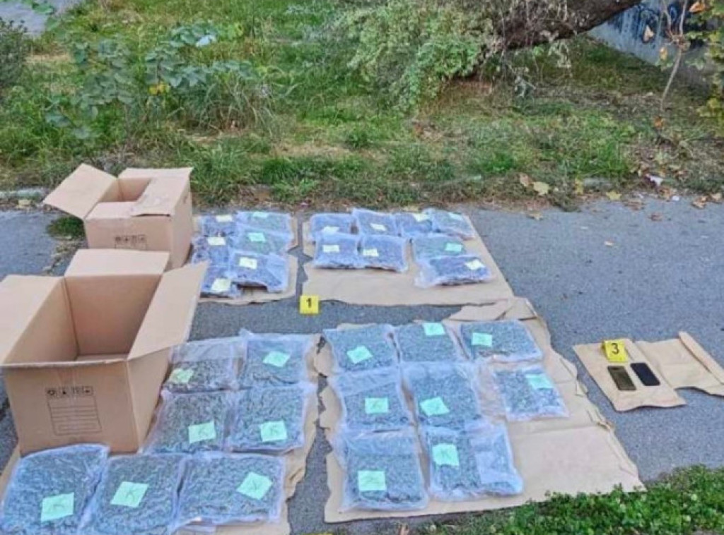 Ivica Dačić: Zaplenjeno 15 kilograma marihuane, uhapšena jedna osoba