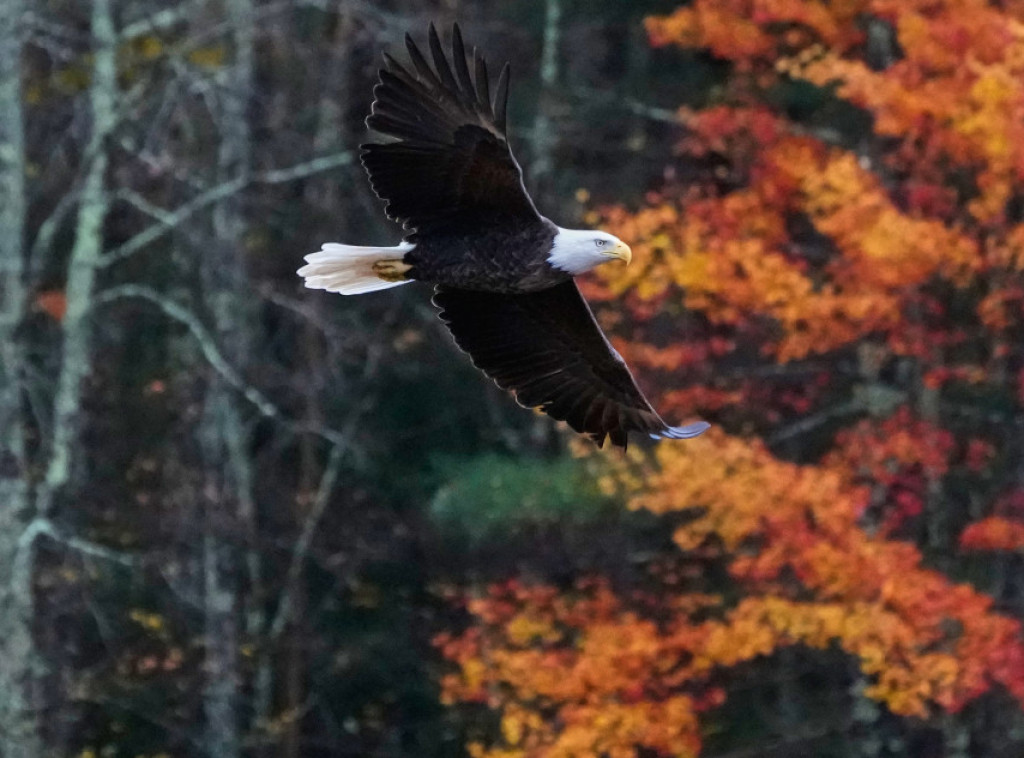 U Srbiji danas umereno oblačno, temperatura do 20 stepeni
