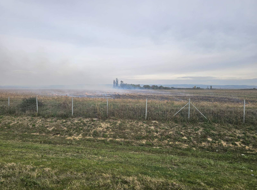 Ministarstvo poljoprivrede: Spaljivanje strnjike i žetvenih ostataka strogo zabranjeno