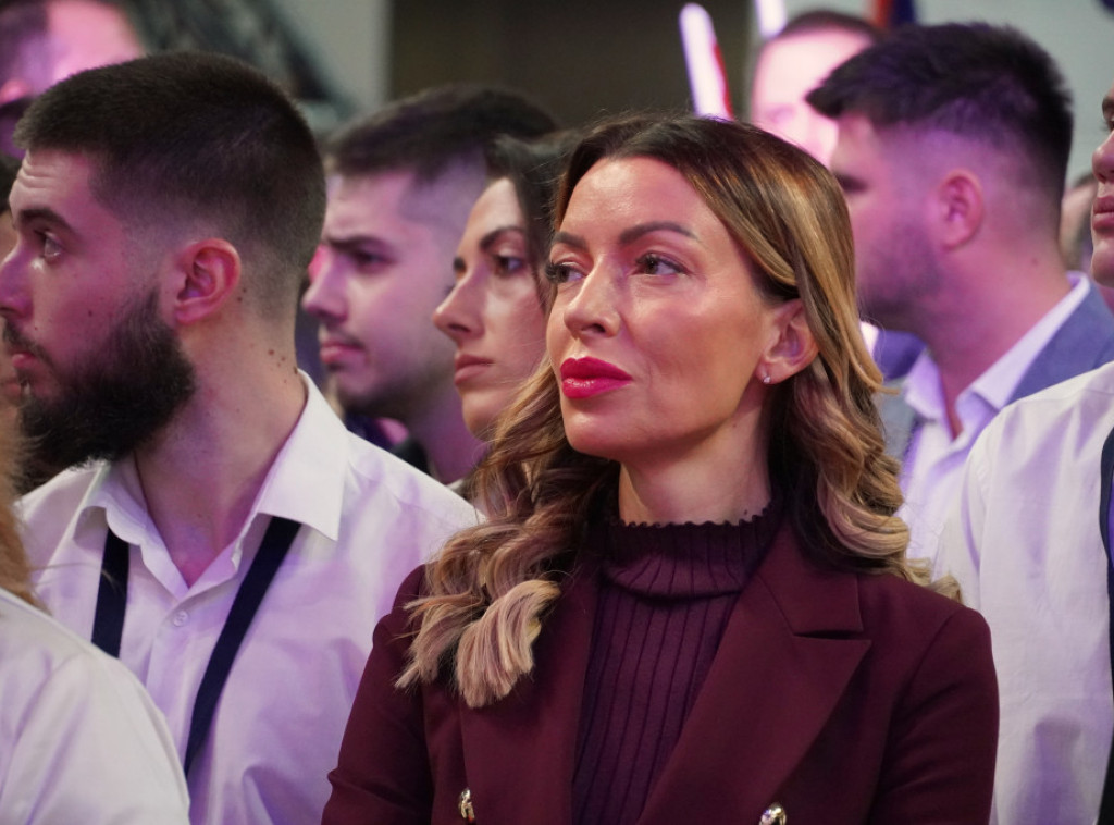 Mesarović: SNS je promenila Srbiju i prva je u borbi za zemlju