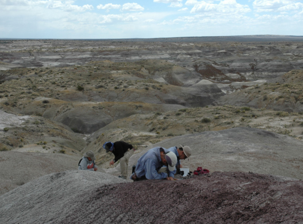 Studija: Dinosaurusi su bili rasprostranjeni pre udara asteroida u Zemlju