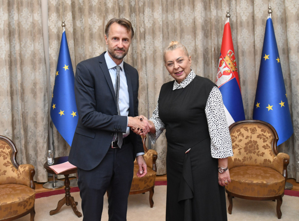 Sofronijevic meets with EU ambassador to Serbia