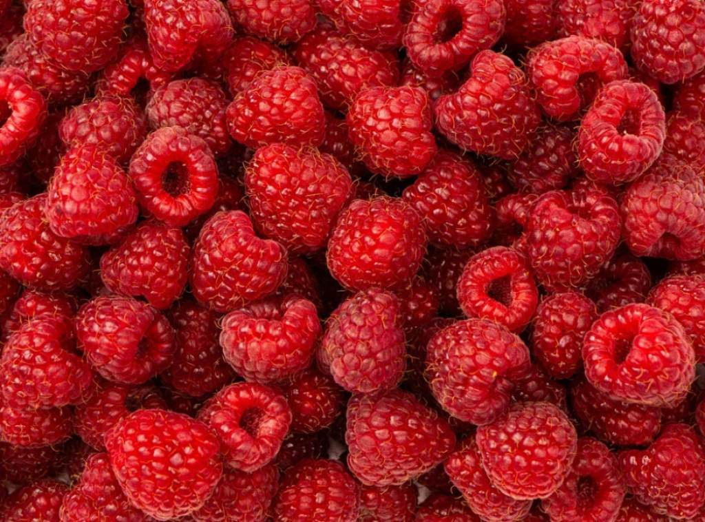 Produžen rok do 31. decembra za odobrenje kredita za skladištare maline roda 2025.