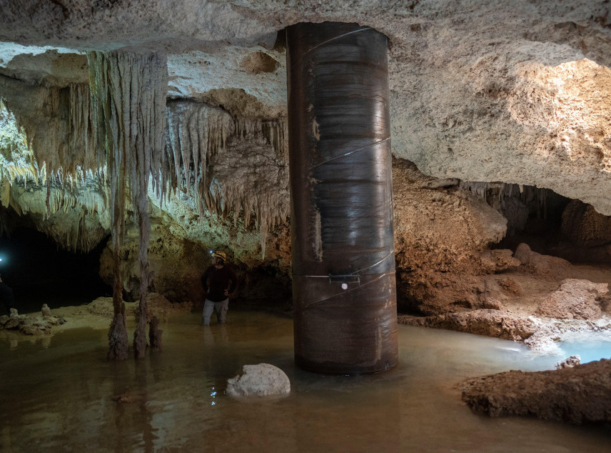 U pećini u Kini otkrivena 52 fosila džinovskih pandi