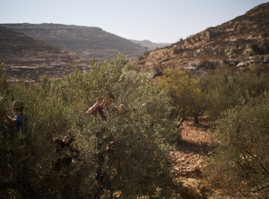 Doseljenici napali beduinsku zajednicu na Zapadnoj Obali i zapalili više kuća