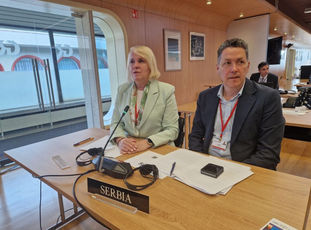 Delegacija Narodne skupštine Srbije na sastanku Odbora Parlamentarne skupštine NATO-a u Palermu