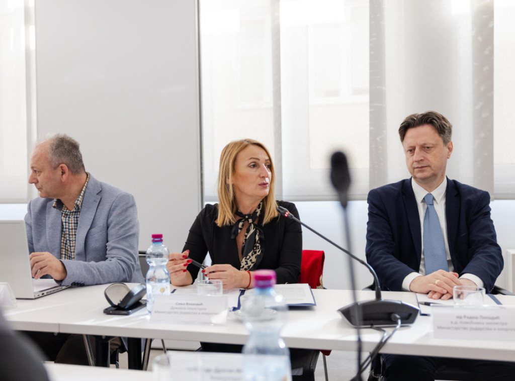 Sonja Vlahović: Energetska bezbednost prioritet strategije razvoja energetike u Srbiji