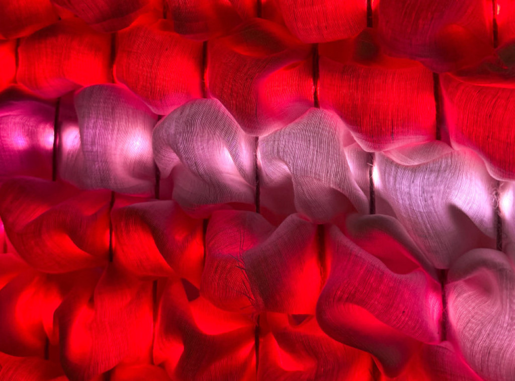 "Arts Meets Science"  od 12. do 15. novembra: Na otvaranju izložba "Druga koža" u Palati nauke