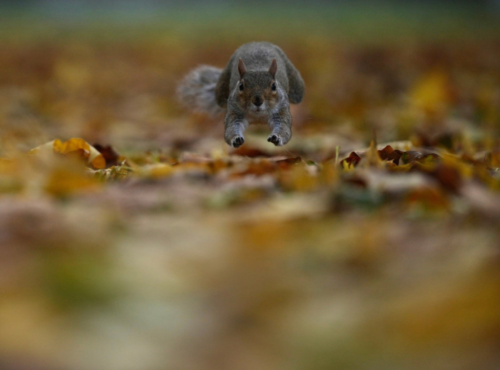 U Srbiji danas magla, najviše dnevne temperature od šest do 14 stepeni