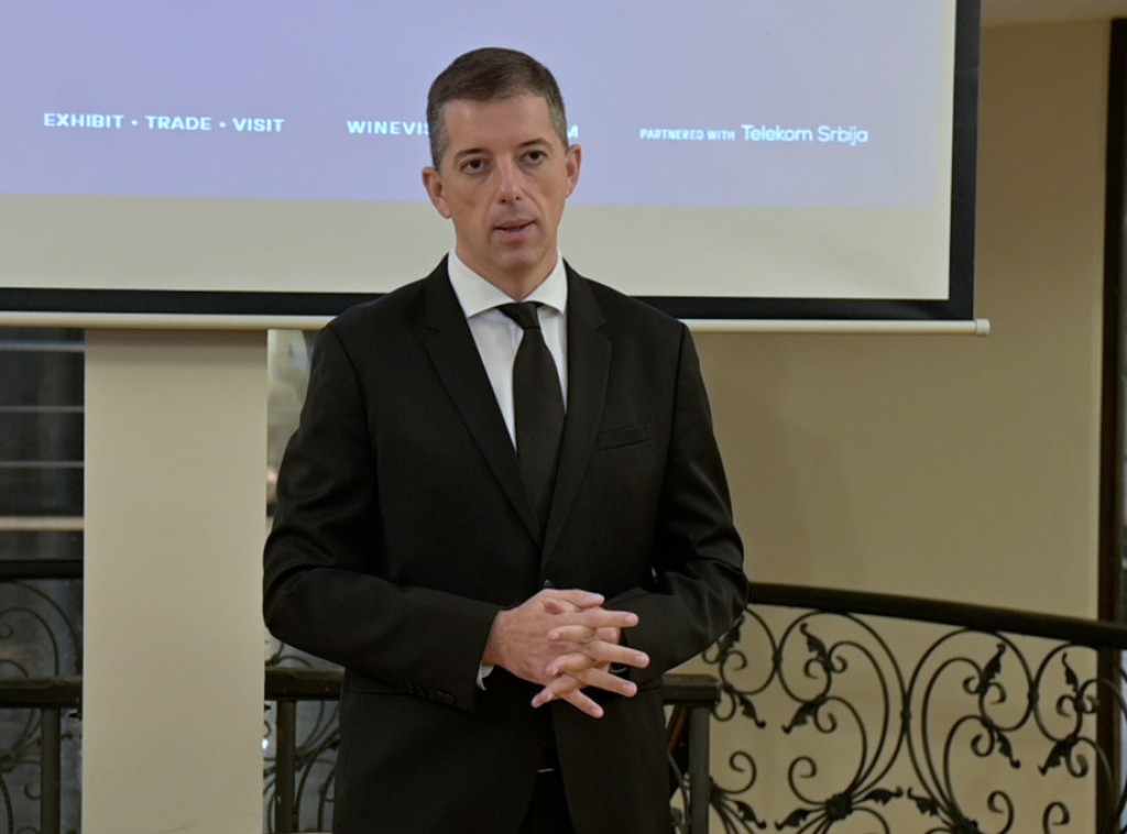 Đurić: Incident u Zagrebu još jedan pokušaj zastrašivanja Srba, nadležni da reaguju