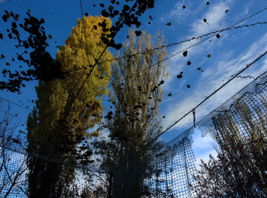 Rusija: Uništena četiri bespilotna čamca u Crnom moru i 71 dron iznad ruskih regiona