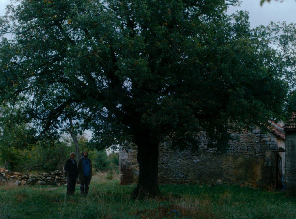 Ostvarenje Nikole Ležaića, "Kako je ovde tako zeleno?" otvara FAF