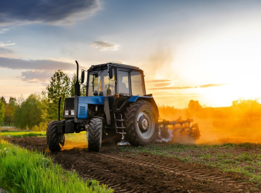 U Srbiji u jesenjoj setvi zasejano 842.347 hektara, 5,5 odsto više nego 2024.