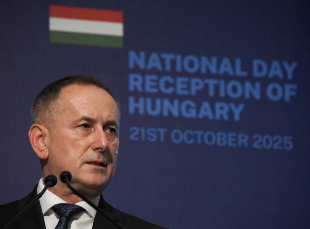 Ambasador Mađar: Ruski energenti cenovno najpovoljniji