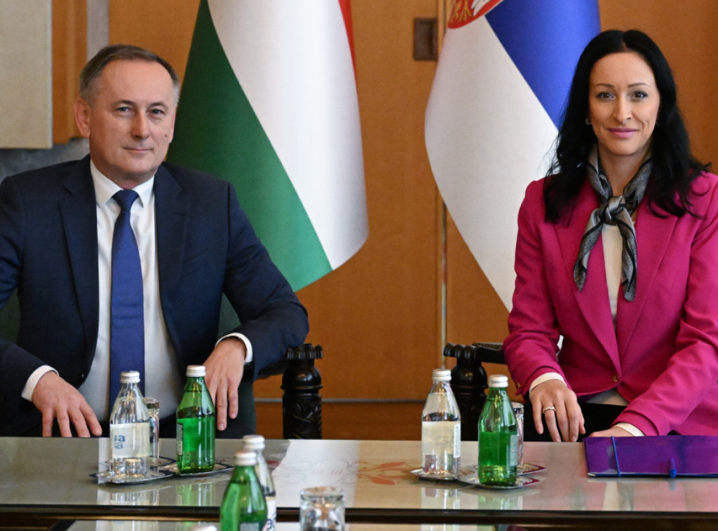 Jelena Žarić Kovačević razgovarala sa Jožefom Mađarom o jačanju saradnje u oblasti porodične i demografske politike