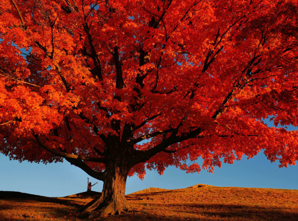 U Srbiji danas pretežno sunčano i toplo, temperature do 22 stepena