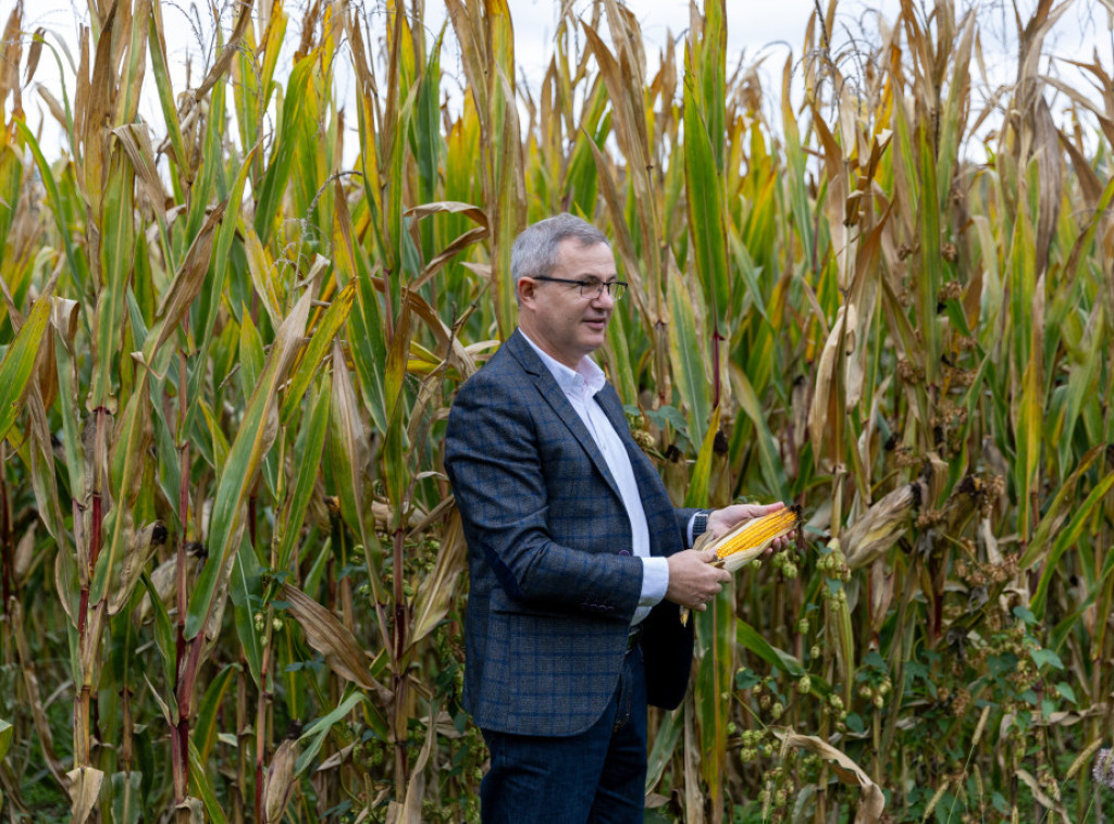 Dragan Glamočić: Više od polovine svih subvencija u Srbiji usmereno u poljoprivredu