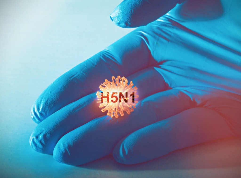 Izrael prijavio epidemiju ptičjeg gripa na farmi na severu zemlje