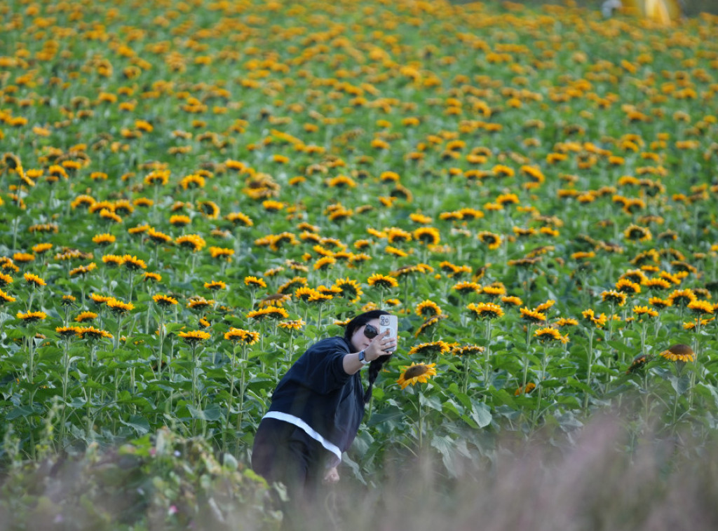 U Srbiji jutro hladno, tokom dana sunčano, i do 23 stepena