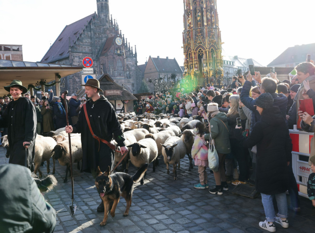 Više stotina ovaca prošlo centrom Nirnberga na putu ka zimskim pašnjacima